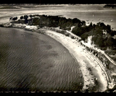 56 - ILE-AUX-MOINES - VUE AERIENNE - PLAGE DU DRENN - Ile Aux Moines