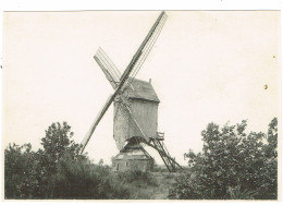 Vorselaar , Molen - Vorselaar