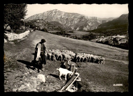 83 - GORGES DU VERDON - PONT DE L'ARTUBY ET FALAISES DU VERDON - BERGER ET SON TROUPEAU DE MOUTONS - Autres & Non Classés