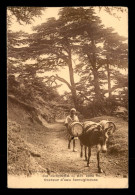 ALGERIE - COL DE CHREA - PORTEUR D'EAU FERRUGINEUSE - Autres & Non Classés