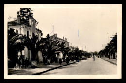 ALGERIE - ER RAHEL - LA MAIRIE - Autres & Non Classés