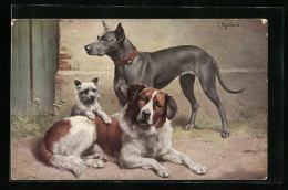 Künstler-AK Carl Reichert: Berhardiner, Dogge Und Schottischer Terrier  - Autres & Non Classés