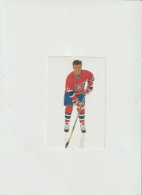 LD 61 : Autocollant : Canada , Hockey  Sport : Russ  Courtnall - Stickers