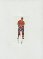 LD 61 : Autocollant : Canada , Hockey  Sport : Brent  Gilchrist - Autocollants