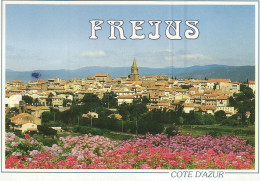 CPM  Fréjus - Frejus