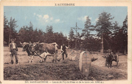 63-SAINT-ANTHEME- LIMITE DU PUY-DE-DOME ET DE LA LOIRE - Other & Unclassified