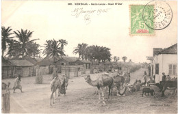 CPA Carte Postale Sénégal Saint Louis Guet N'Dar 1904  VM81267ok - Senegal