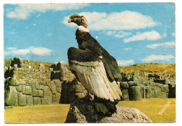 Tarjeta Postal De 1982 Circulada De Peru - Perù