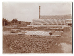 Fotografie Hermann Becker, Limburg, Ansicht Diez / Lahn, Gärtnerei Schwalbenstein  - Places