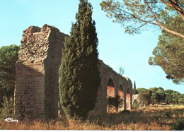 FREJUS : Les Arènes - Frejus