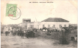 CPA Carte Postale Sénégal Saint Louis Guet N'Dar 1905  VM81270ok - Senegal