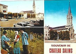 France & Marcofilia, Souvenir De Chateau Salins, Grand Duchy Of Luxembourg 1980 (57170) - Chateau Salins