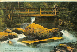 Belgique - Liège - Vallée De La Hoëgne - Pont Et Cascade Léopold II - Spa