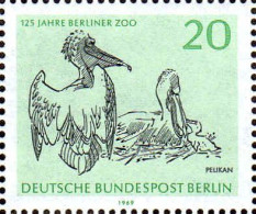 Berlin Poste N** Yv:311 Mi:339 125 Jahre Berliner Zoo Pelikan (Thème) - Pelícanos