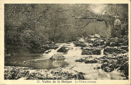 Belgique - Liège - Vallée De La Hoëgne - Le Chêne Rustique - Spa