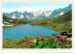 LAC DU SERPENT - Vallée De Névache - Autres & Non Classés