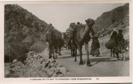 Afghanistan Camel Caravans To Peshawar - Afganistán