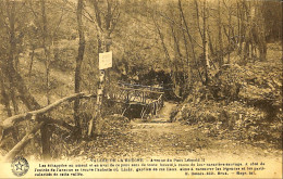 Belgique - Liège - Vallée De La Hoëgne - Avenue Du Pont Léopold II - Spa