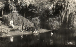 France > [59] Nord > Valenciennes - Le Jardin De La Rhônelle, Le Lac Et Les Cygnes - 8155 - Valenciennes