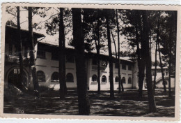 Andernos Les Bains Ecole De Plein Air - Andernos-les-Bains