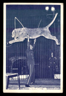 CIRQUE - RADIO-CIRCUS - SIDNEY HOWES ET SES LIONS SAUVAGES - Advertising