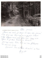 42 - Loire - Le Mont Pilat - Route En Forêt - Mont Pilat