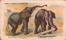 Chromo Animanux Sauvages Et Domestiques Elephant - Thé & Café