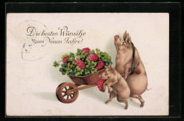 AK Glücksschweine Mit Schubkarre, Glücksklee, Glückliches Neues Jahr  - Pigs