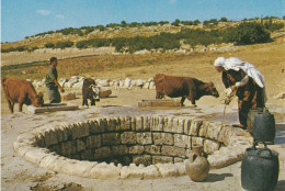 Femme Arabe Puisant L'eau Du Puits - Unclassified