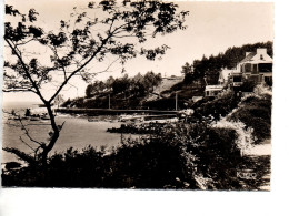 CPSM PORT-MANECH  (Commune De NEVEZ)  Vue Sur Le  Port - Névez