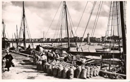 . 29 . ROSCOFF . Le Port . Animation . Bateaux De Pêche à Quai . - Roscoff