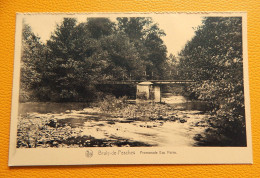 BRULY-de-PESCHES  -  Promenade à L'Eau Noire - Couvin