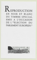 45 2326 ZNP 22 Noir Blanc Belgique Feuillet NB Election Parlement Européen Panorama Bruxelles --1990 - B&W Sheetlets, Courtesu Of The Post  [ZN & GC]