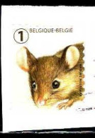 Belgique Poste Obl Yv:4947 Mi:5005 Souris Mus Musculus (Obli. Ordinaire) Sur Fragment - Gebruikt