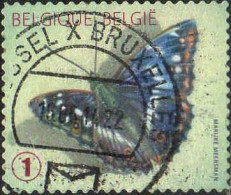 Belgique Poste Obl Yv:4270 Mi:4338 Apatura Ilia (TB Cachet à Date) - Used Stamps