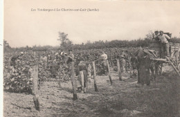 LA CHARTRE SUR LE LOIR . LES VENDANGES  . BELLE ANIMATION . - Sonstige & Ohne Zuordnung