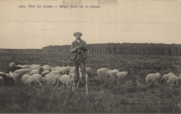 40 DANS LES  LANDES BERGER FILANT SUR SES ECHASSES CPA BON ETAT - Morcenx