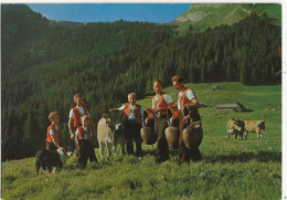 AELPLERBEN IM TOGGENBURG - Autres & Non Classés