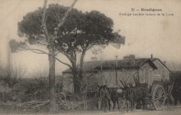 33 GRADIGNAN ATTELAGE LANDAIS SORTANT DE LA LUNE CPA BON ETAT - Gradignan