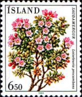 Islande Poste N** Yv:572/573 Fleurs - Unused Stamps