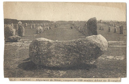 56  Carnac  -  Alignement Du Menec Compose De 1169  Menhirs Debout Sur  11 Rangees - Carnac