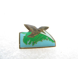 PIN'S    OISEAU   BRETAGNE   QUIMPER - Animali