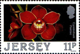 Jersey Poste N** Yv:419/423 Orchidées - Jersey