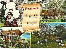 France & Marcofilia, Ma Normandie, Chanson De Frédéric Bérat, Multi, Grandcamp-Maisy A Merksem Belgique 1982 (687) - Música