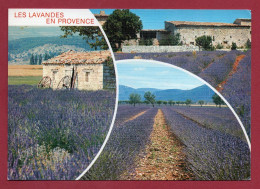 Les Lavandes En Provence - Multivues - Provence-Alpes-Côte D'Azur