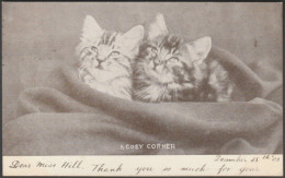 A Cosy Corner For A Pair Of Kittens, 1903 - Postcard - Katten