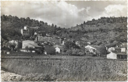 D 83. MONTFORT SUR ARGENS.   VUE GENERALE - Autres & Non Classés