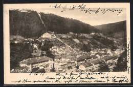AK Wildbad / Schwarzwald, Ortsansicht Und Kaiser Wilhelm II. Zum 25-jährigen Regierungsjubiläum 1913  - Other & Unclassified