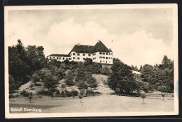 AK Memmingen, Blick Auf Schloss Eisenburg  - Memmingen