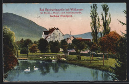 AK Bad Reinhardsquelle Bei Wildungen, Schwäne Vor Dem Kurhaus Rheingold  - Bad Wildungen